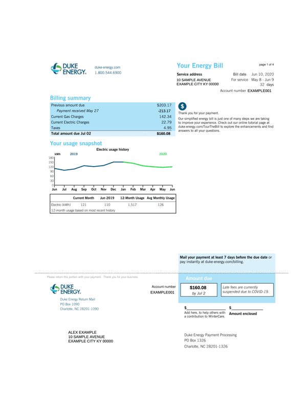 Duke Energy Electricity and Gas Bill editable example
