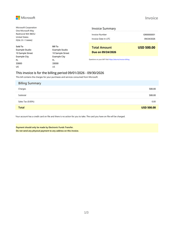 Microsoft 365 Invoice editable example