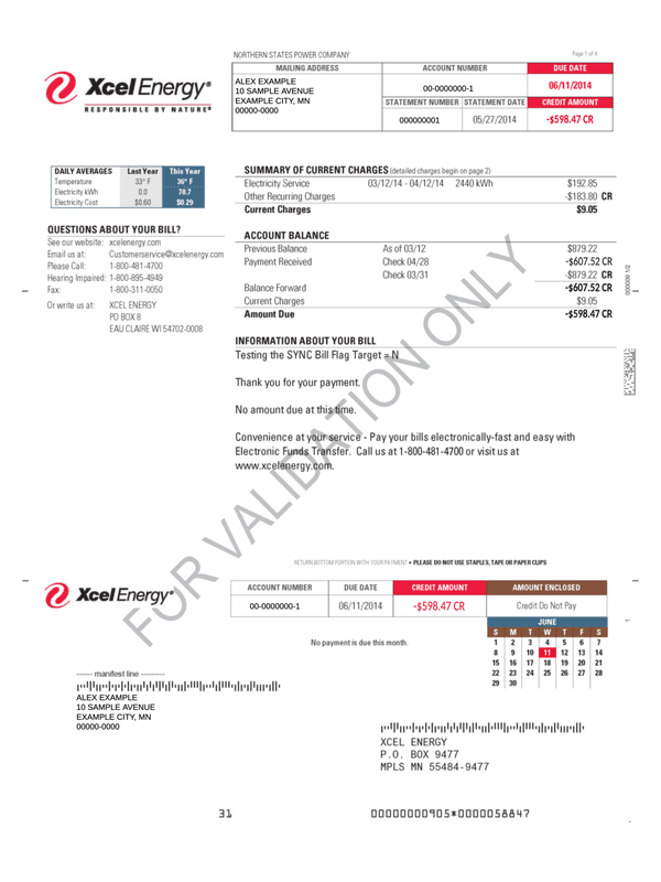 Xcel Energy Credit-Balance Bill editable example