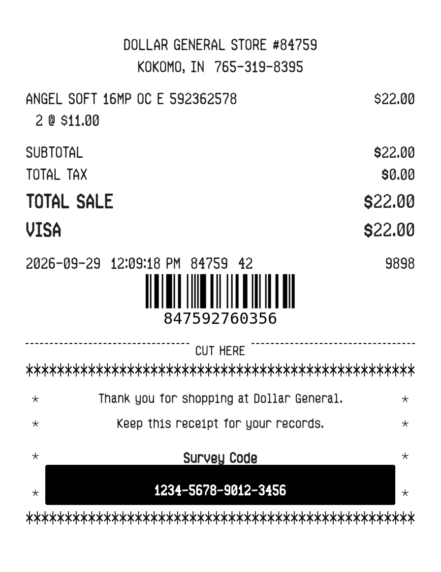 Dollar General Store — example receipt