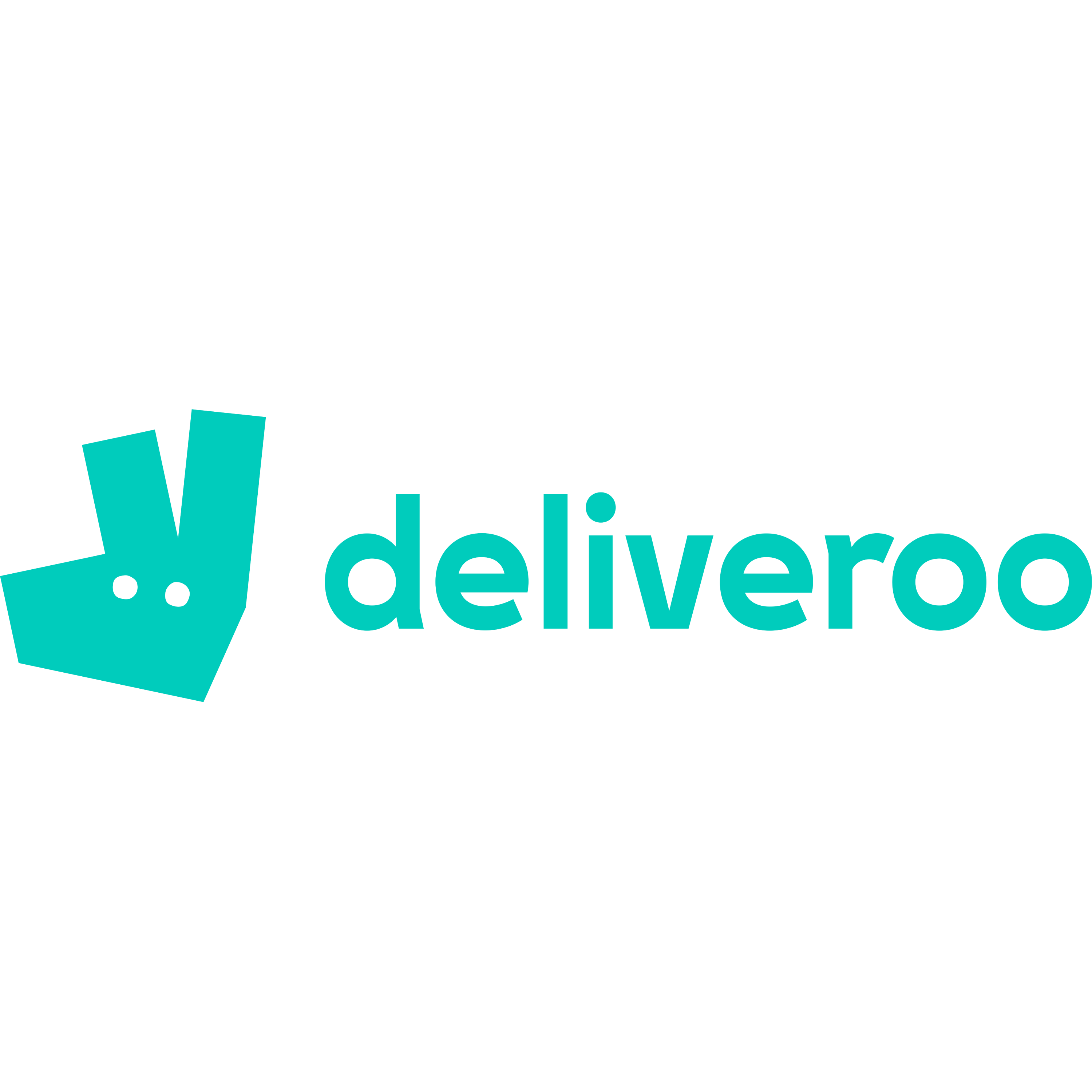 Deliveroo Receipt