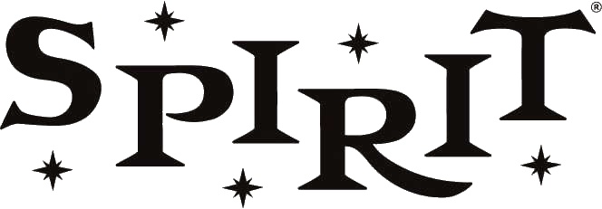 Spirit Halloween Receipt